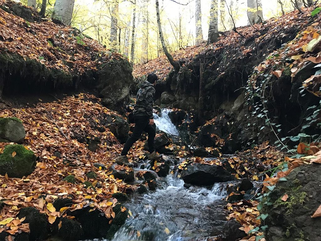 yedigöller gezilecek yerler