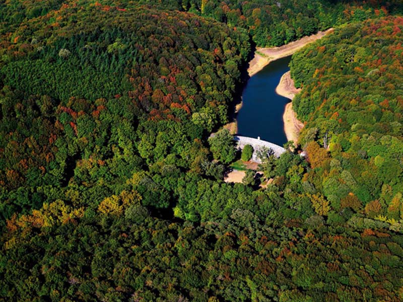 belgrad ormanı