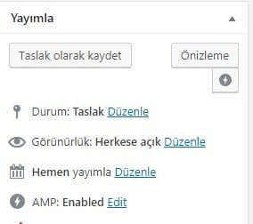 blog yazarlığı