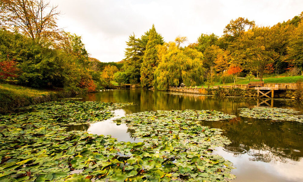 atatürk arboretum