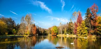 atatürk arboretumu