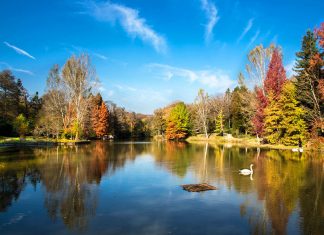 atatürk arboretumu