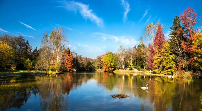 atatürk arboretumu