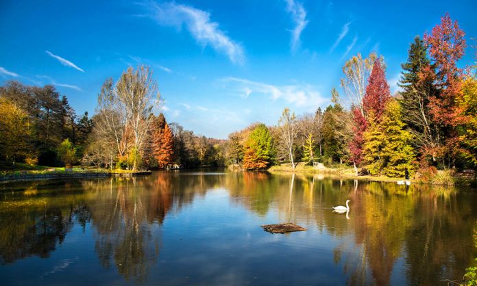 atatürk arboretumu