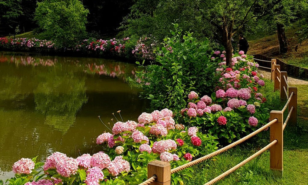 atatürk arboretumu
