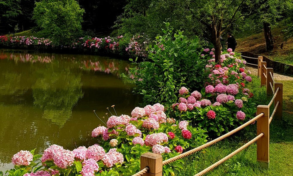 atatürk arboretumu