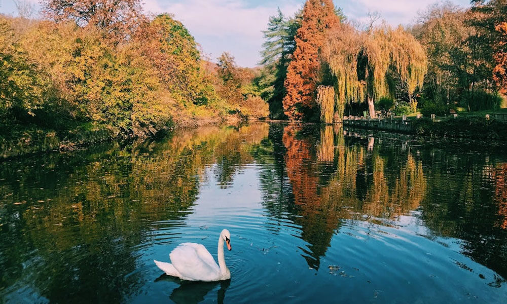 atatürk arboretum