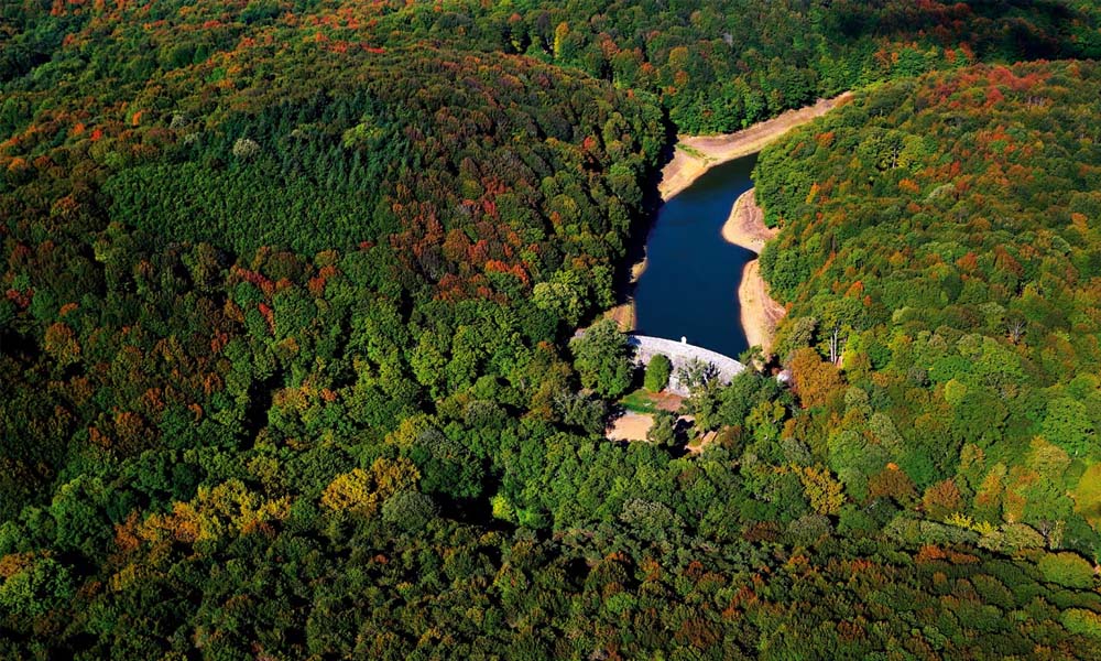 belgrad ormanı