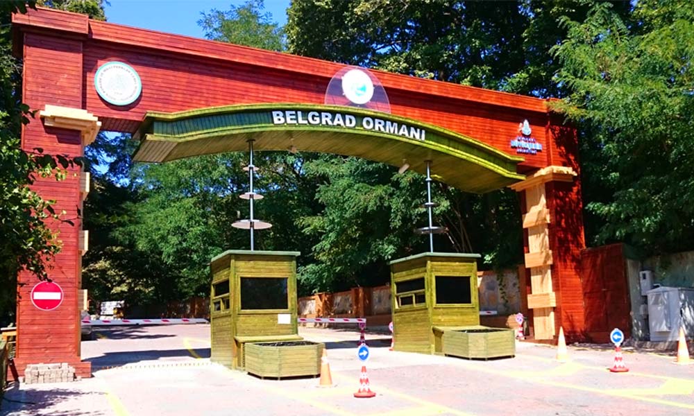 belgrat ormanı
