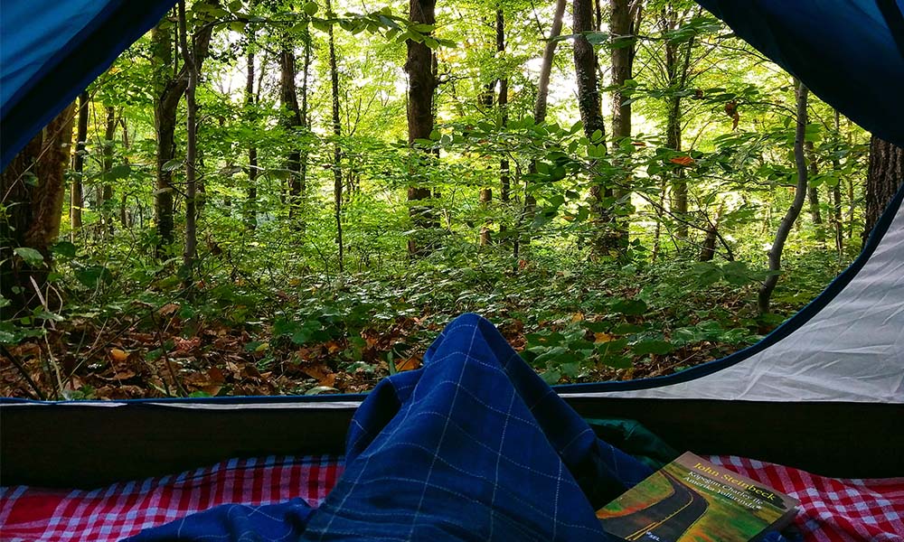 belgrad ormanı kamp