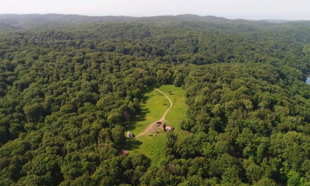 belgrad ormanı