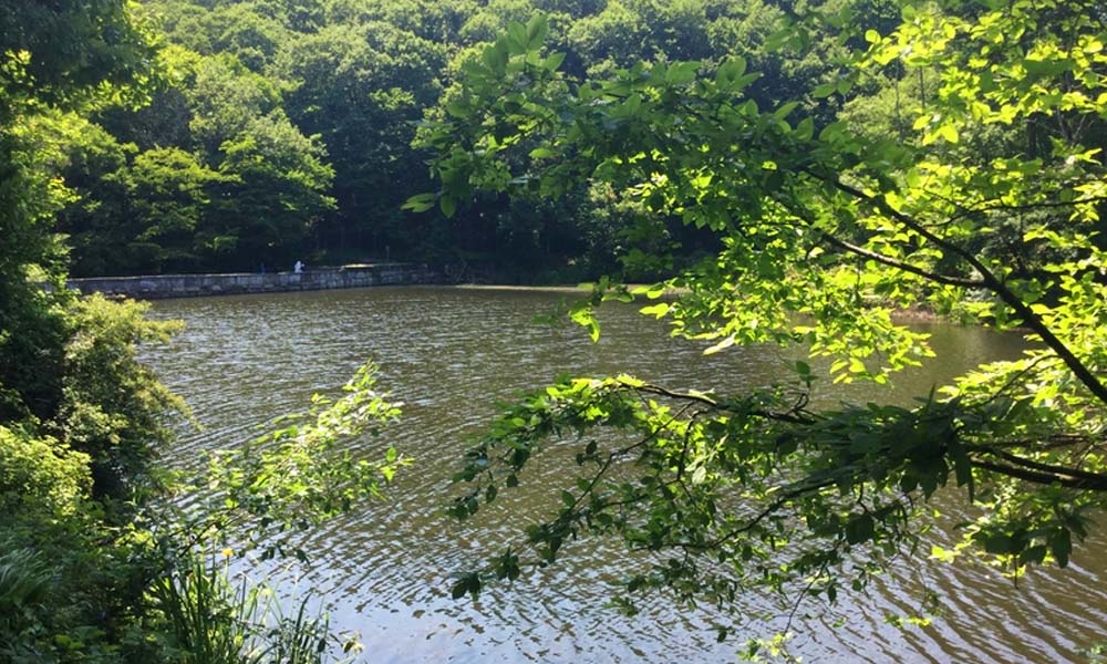 belgrad ormanı mesire alanları