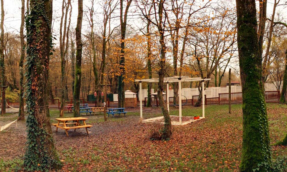 belgrad ormanı piknik alanları