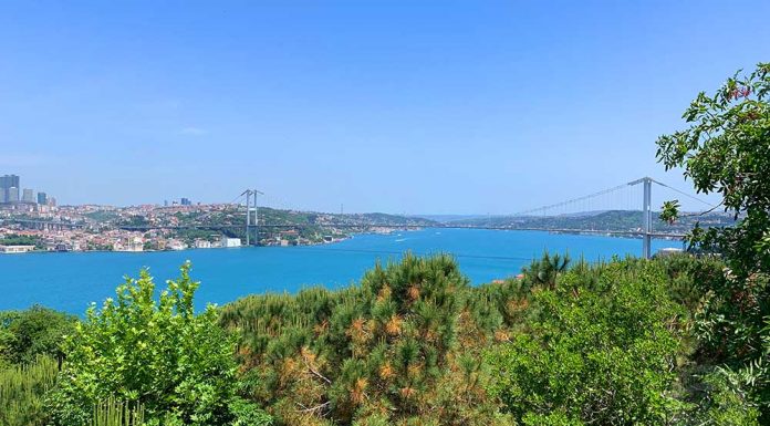 Fethipaşa Korusu