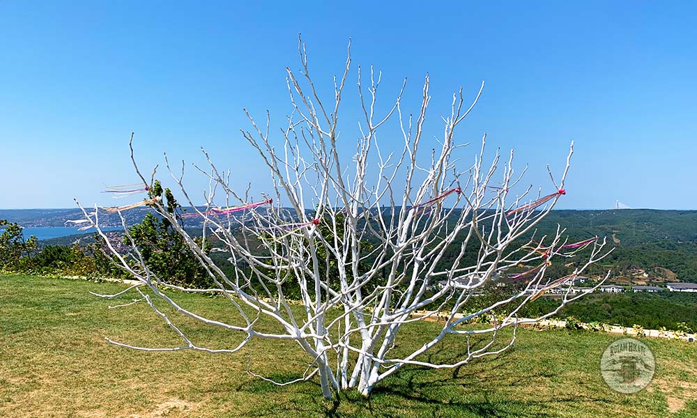 karlıtepe mesire alanı